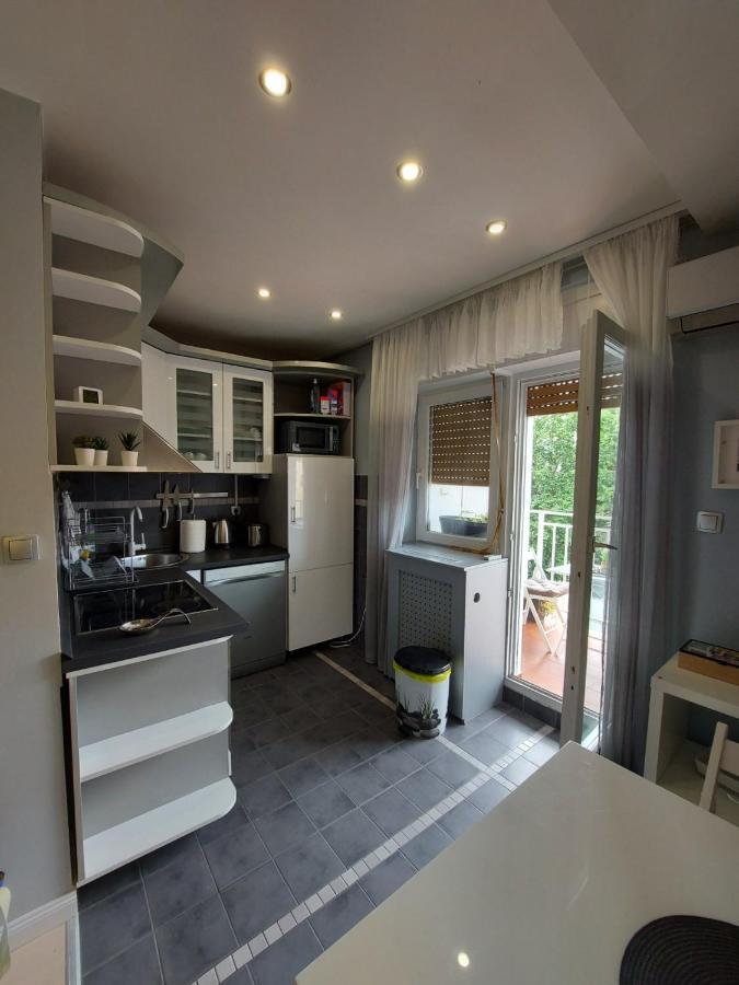 Center Danube Street Apartment Novi Sad Exterior photo